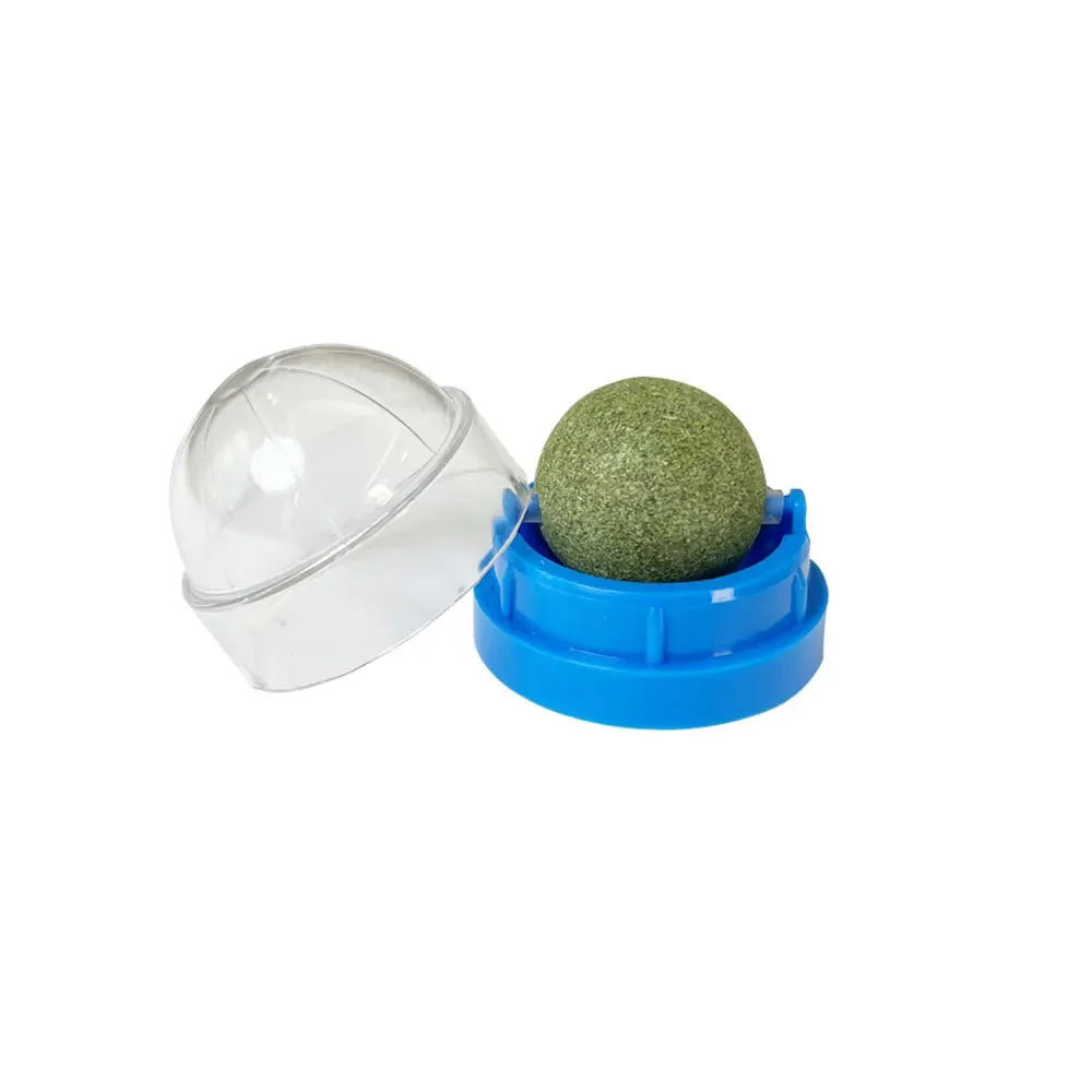 Bola de Catnip Natural para Gatos – Adesiva de Parede | Brinquedo, Petisco e Auxílio Digestivo com Grama de Gato