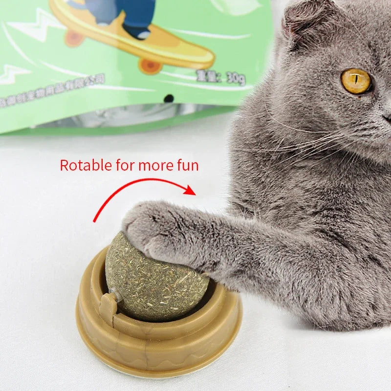 Bola de Catnip Natural para Gatos – Adesiva de Parede | Brinquedo, Petisco e Auxílio Digestivo com Grama de Gato