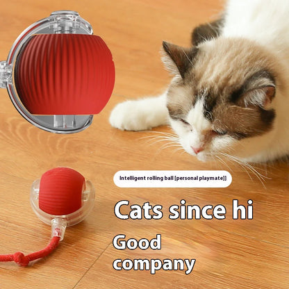 New Electric Cat Ball Toys Automatic Rolling Ball With Teaser Bird Cat Toys Pet Interactive Smart  Sensor Rechargeable Cat Toys