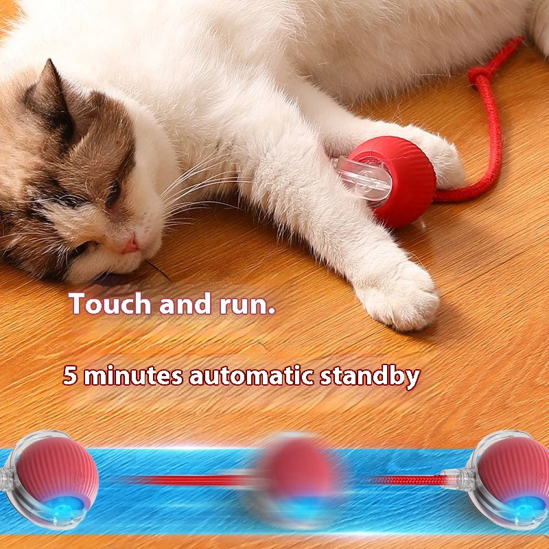 New Electric Cat Ball Toys Automatic Rolling Ball With Teaser Bird Cat Toys Pet Interactive Smart  Sensor Rechargeable Cat Toys