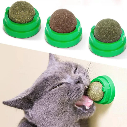 Bola de Catnip Natural para Gatos – Adesiva de Parede | Brinquedo, Petisco e Auxílio Digestivo com Grama de Gato