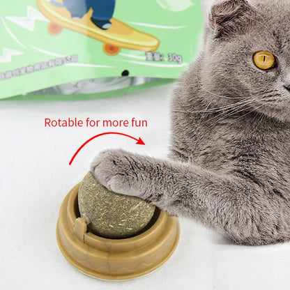 Bola de Catnip Natural para Gatos – Adesiva de Parede | Brinquedo, Petisco e Auxílio Digestivo com Grama de Gato
